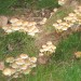 21Alles bunt 108_1